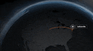 news wtf GIF