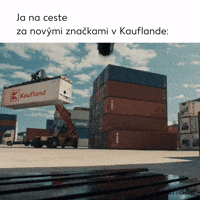Jump Shopping GIF by Kaufland Slovensko
