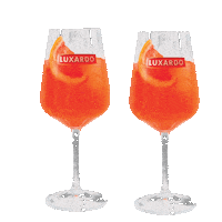 Granikal aperitivo spritz luxardo granikal Sticker