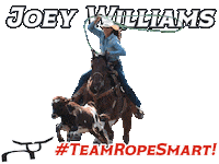 Rodeo Rs Sticker by RSgraphics