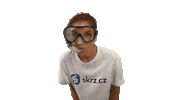 Travel Swimming Sticker by Skrz.cz