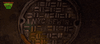 GIF by Teenage Mutant Ninja Turtles Movie