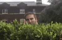 Asl Analyze GIF