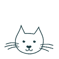 Primoxofficial katze überraschung erstaunt moxi Sticker