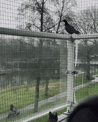 Dating Life Fail GIF