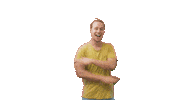 lifelion dance like nice swipe up Sticker