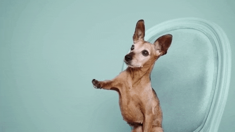dance adopt GIF by ADWEEK