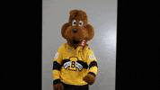 BdnWheatKings kings brandon willie wheat GIF