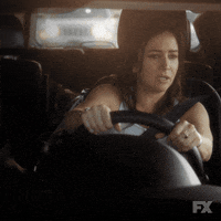 fx networks GIF by Better Things