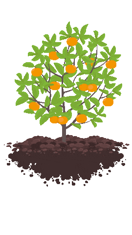 Orange Growing Sticker by Mini-Farm Grow Kits