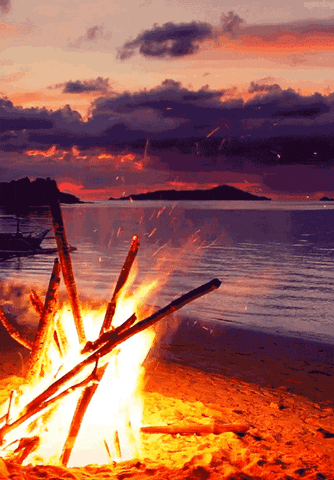 photography GIF