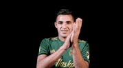 portland timbers applause GIF by Timbers