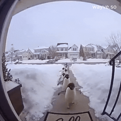 Mood Feels GIF by Darwin