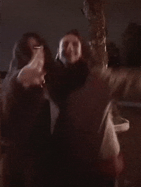 Rojbinerden GIF