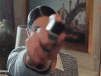 Rojbinerden GIF