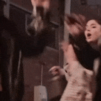 Rojbinerden GIF