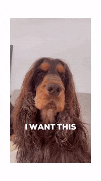 I Want This GIF