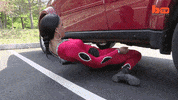 GIF by Digg