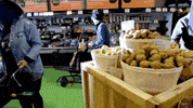always trying to work it out sub pop GIF by Sub Pop Records