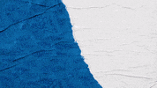 Lets Go Soccer GIF by Hertha BSC