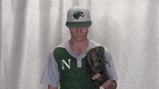 Collegebaseball Ncaadii GIF by RiverHawk Sports