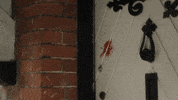 shaun evans ITV GIF