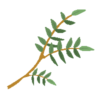 pavolardiseno nature minimal floral ilustracion Sticker