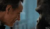 Gorilla Ivan GIF by Walt Disney Studios