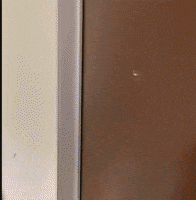 Scared Halloween GIF by HUPChallenge