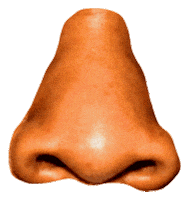 jay-z nose Sticker by PIZZASLIME