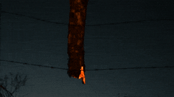 Fire Incendio GIF