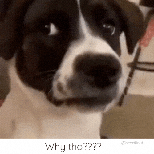 Mental Health What GIF by Heart It Out