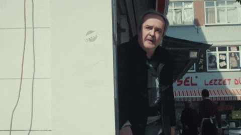 Novela Kadin GIF by RECORD