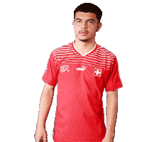 Link Switzerland Sticker by Swiss Football Association