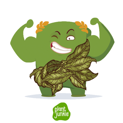 Vegan Veggie Sticker by Better Body Foods