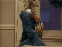 sesame street television GIF