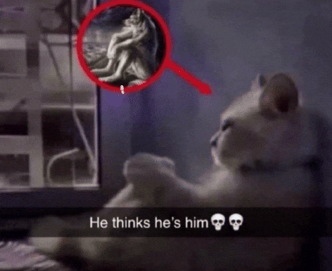 ELCANARDO giphyattribution giphycreatortest GIF