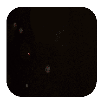 Rff Russianfitnessfair Sticker by Trigger Point Russia