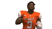 Alonzo Alonzohouston Sticker by Carson-Newman Athletics
