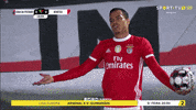 Come On Slbgifs GIF by Sport Lisboa e Benfica