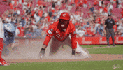 Celebration Baseball GIF by Cincinnati Reds