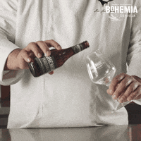CervejaBohemia cheers chef toast cerveja GIF