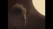 Bad Decisions GIF by Francesco Yates