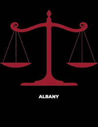 GIF by Albany Law School