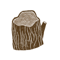 Forest Woods Sticker by Our Second Nature