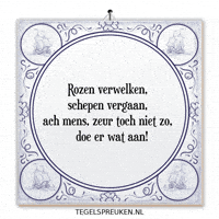 Humor Wijsheid GIF by Tegelspreuken.nl