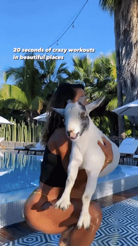 mikhailchugunov giphyupload GIF