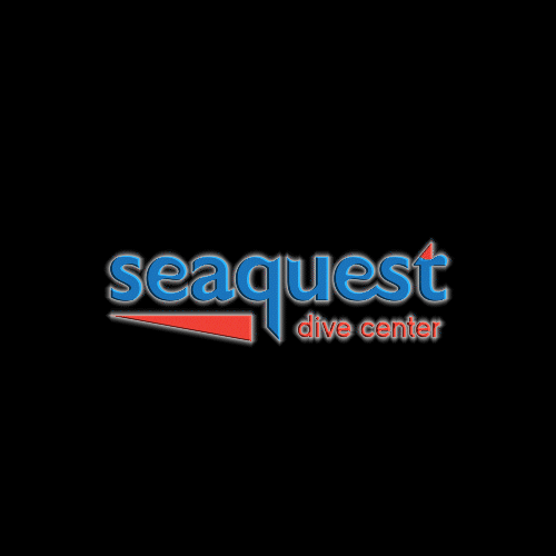 Seaquest ocean sea philippines dive GIF