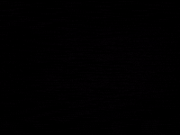 GIF by Beastarwithus