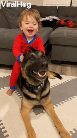 Baby Sits and Squeals on Shepherd Pup